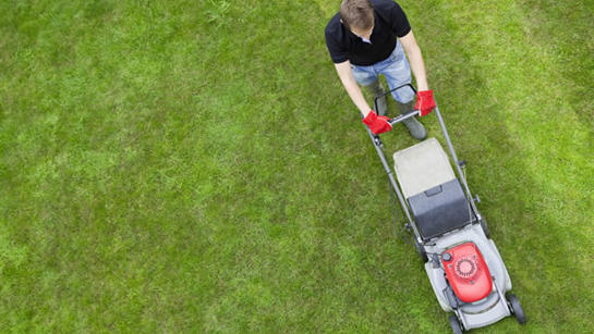 Man Mowing Lawn