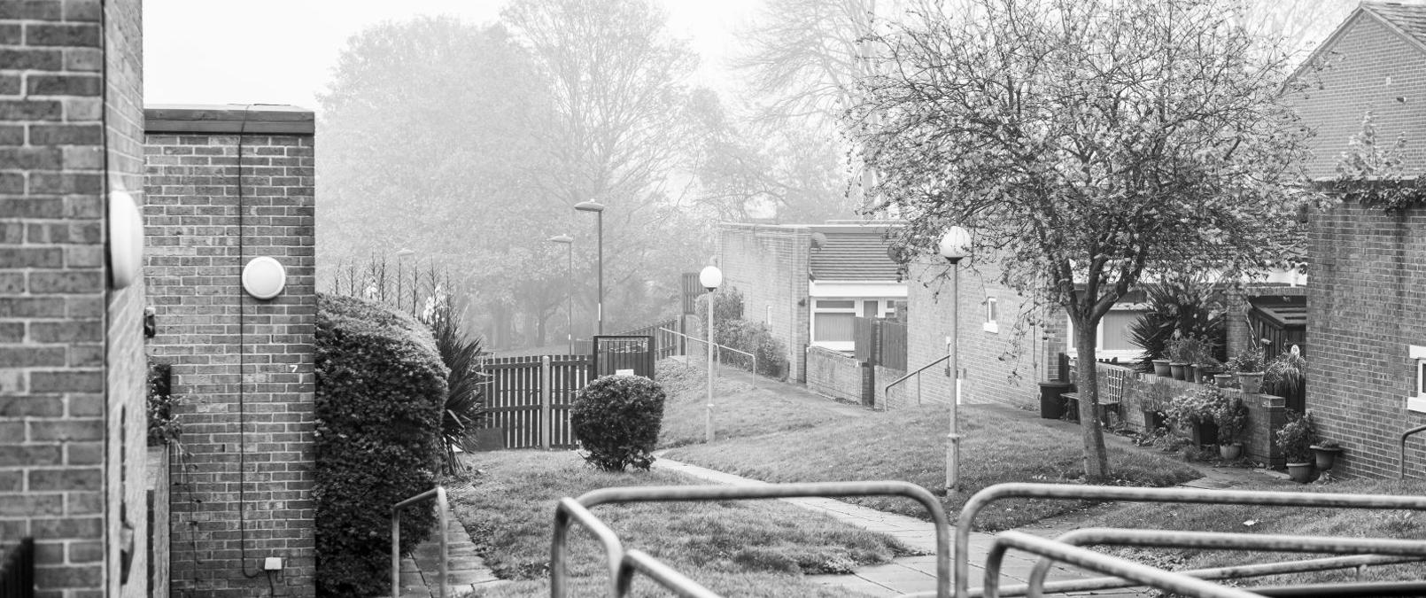 Trees And Railings Outside John Carrol Court