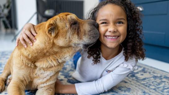 Child With Her New Dog