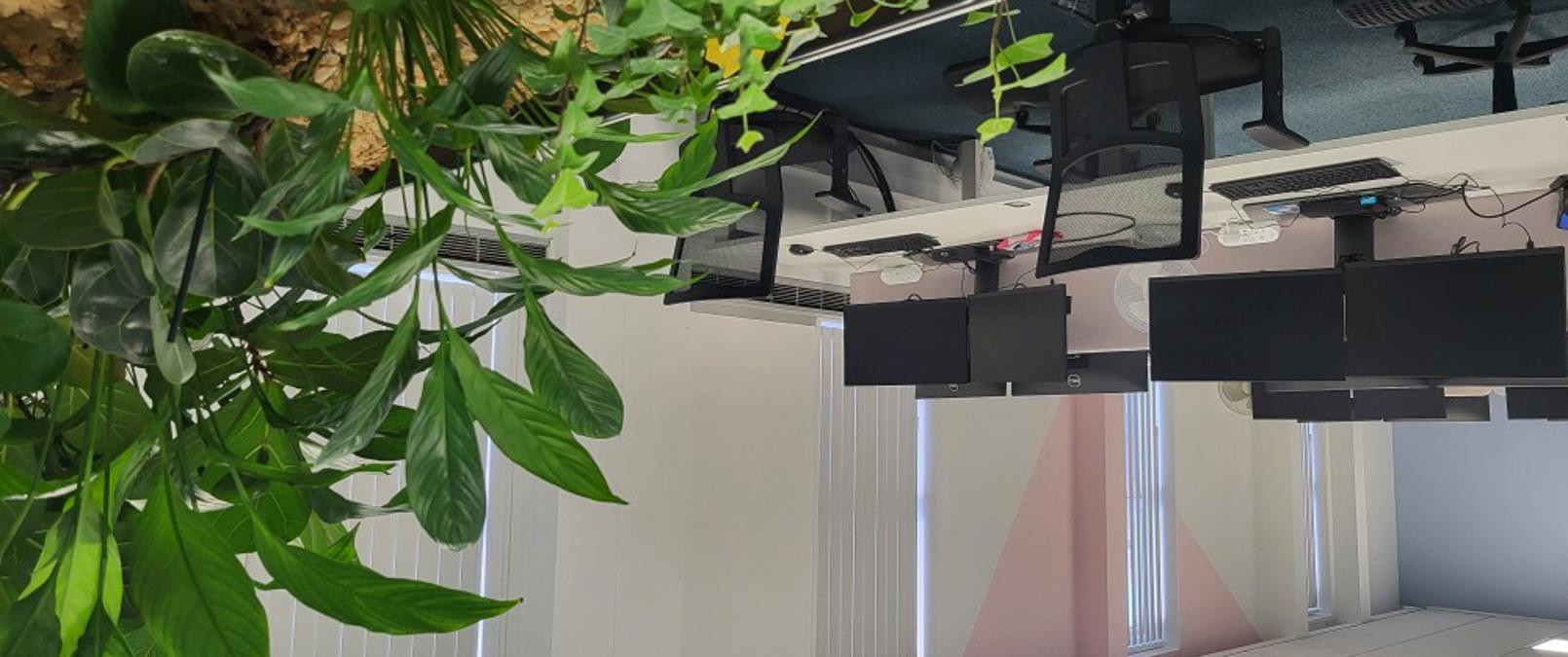 Desks With Plants